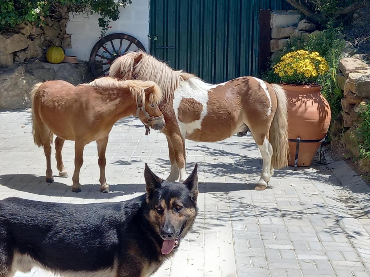 Casinha De Campo- Quintinha Dos Cavalos- Arruda Dos Vinhos Esterno foto