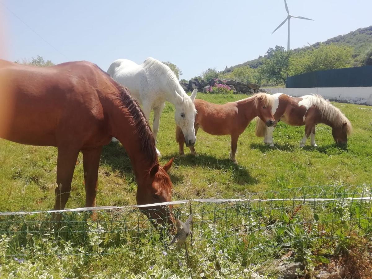 Casinha De Campo- Quintinha Dos Cavalos- Arruda Dos Vinhos Esterno foto