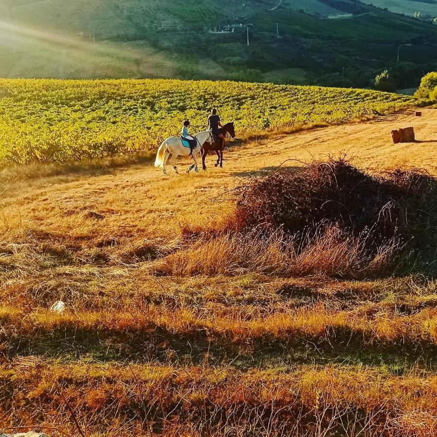 Casinha De Campo- Quintinha Dos Cavalos- Arruda Dos Vinhos Esterno foto
